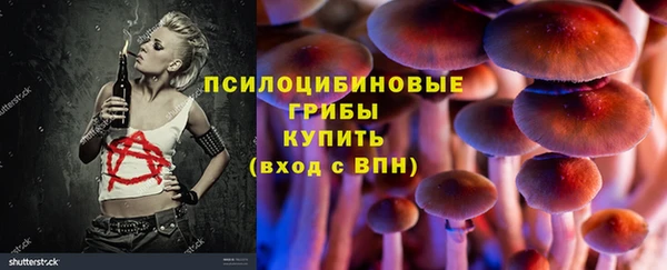 ECSTASY Алексин