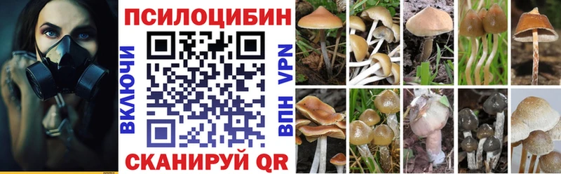 Галлюциногенные грибы мухоморы  Гаврилов Посад 